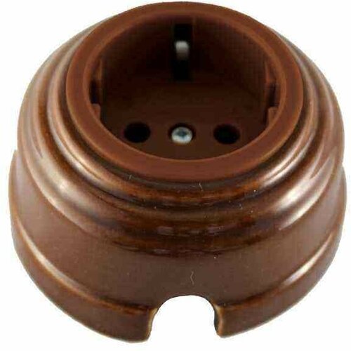 Розетка проходная с/з, цвет bruno (коричневый), серебристая фурнитура, арт. Рпкс