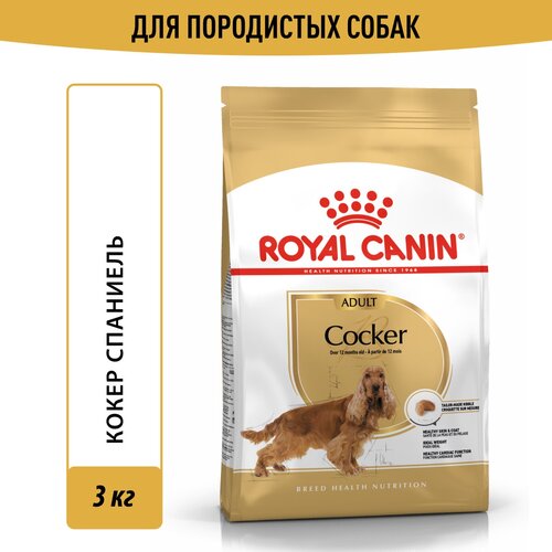 Корм для взрослых собак Royal Canin Cocker Adult (Кокер Эдалт) сухой для породы Кокер Спаниель от 12 месяцев, 3 кг корм для собак royal canin cocker 25 для породы кокер спаниель сух 3кг