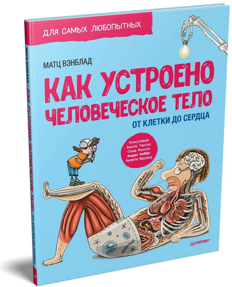 Как устроено человеческое тело. От клетки до сердца - фото №8