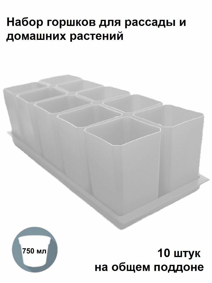 Набор горшков для рассады и для домашних растений 10 штук на поддоне белый