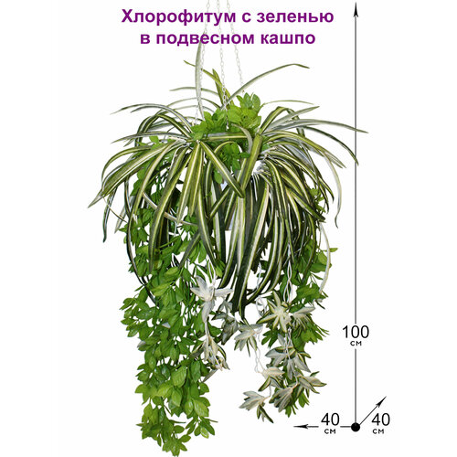 фото Искусственное растение хлорофитум с зеленью в подвесном кашпо от фитопарк