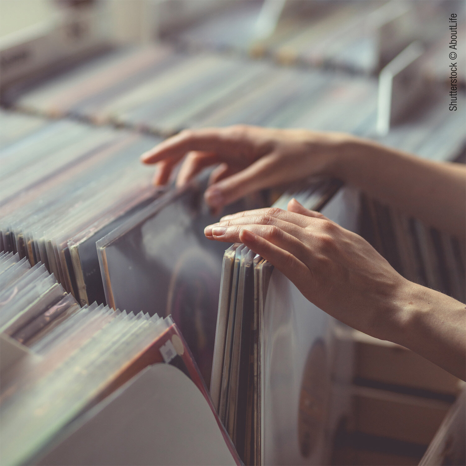 Антистатический конверт Oehlbach 2611 Performance 12" Plates Inner Sleeves — фото 1