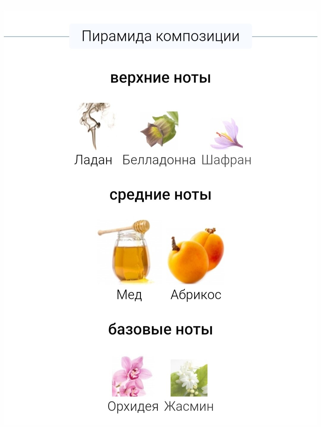 Духи по мотивам Fame Леди Гага — фото 1