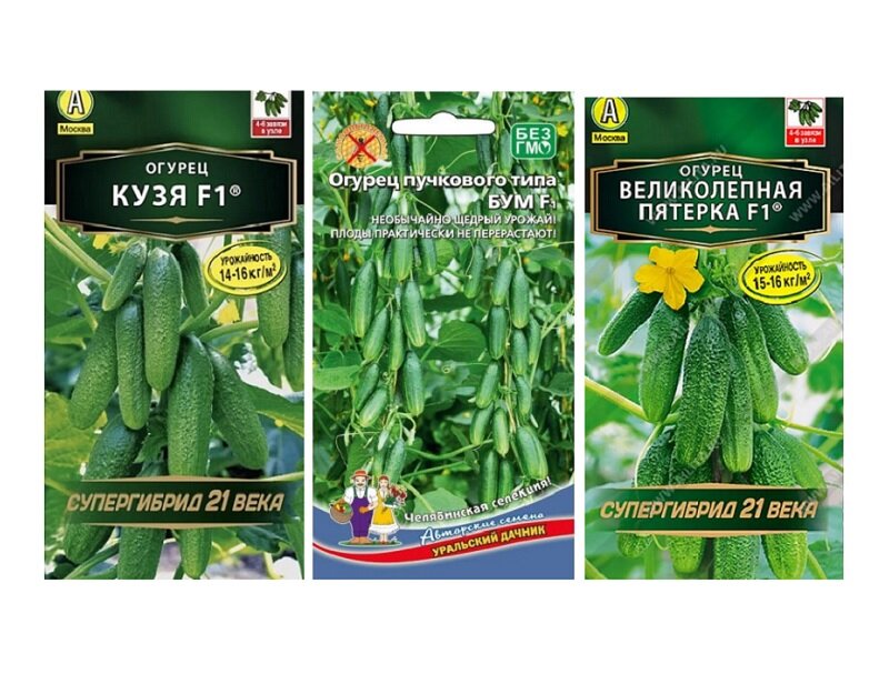 Набор семян огурцов Бунтарь (Огурец Кузя Бум Великолепная пятерка)