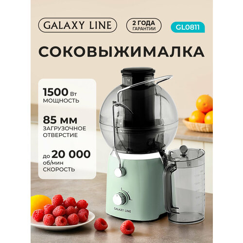 Соковыжималка электрическая GALAXY LINE GL0811/мятный