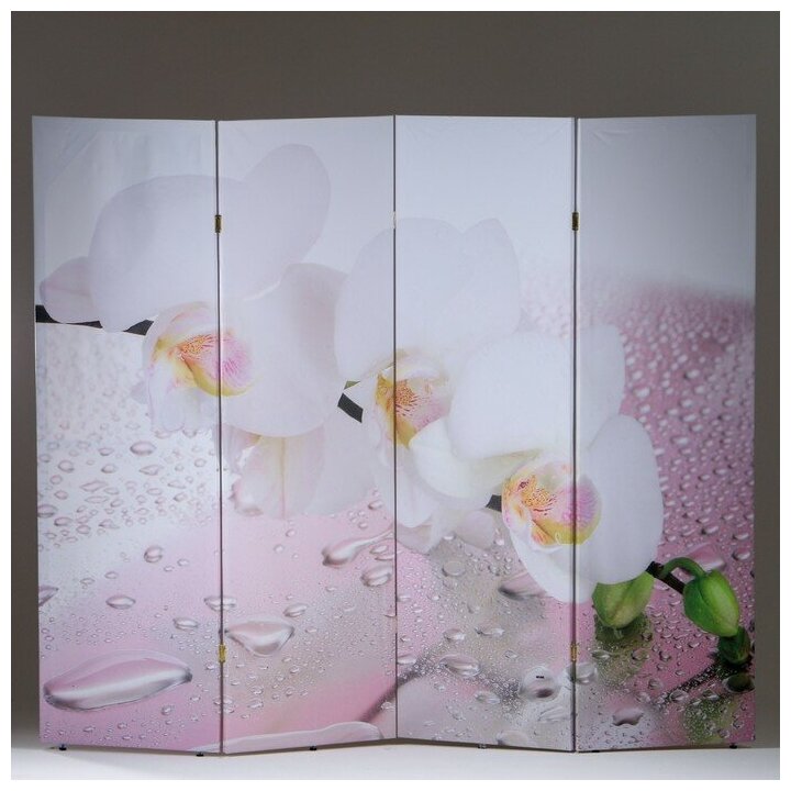 Ширма "Орхидея и капли воды", 200 × 160 см