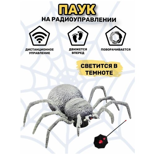 Игрушка на пульте управления паук интерактивные игрушки для девочек и мальчиков насекомое робо жук геркулес на ик управлении зеленый развивающая игрушка