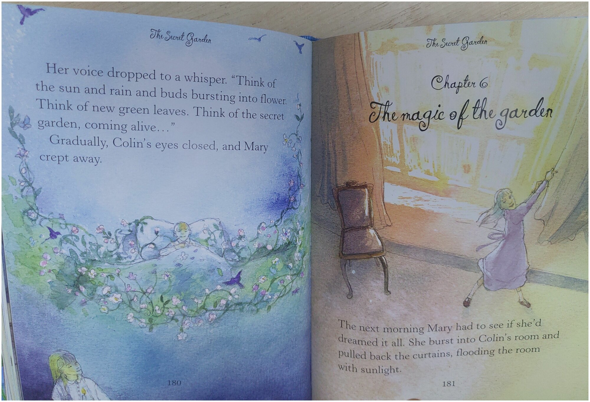 Illustrated Classics Secret Garden & Other Stories - фото №5