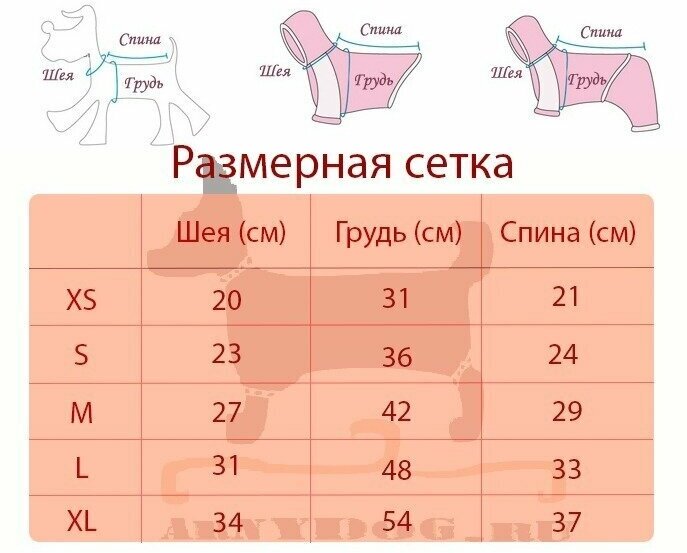 Куртка для собак мелких пород Arnydog Рекс, цвет синий, XL (37 см) - фотография № 7