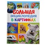 Росмэн Большая энциклопедия в картинках - изображение