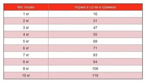 Blitz Classic Adult сухой корм для взрослых кошек (Курица, 2 кг.) - фото №5