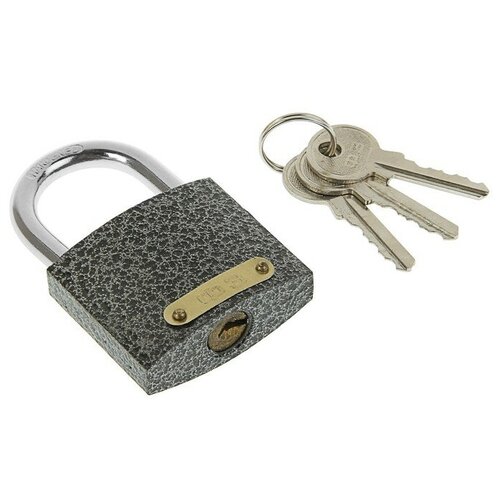 фото Замок навесной "фабрика замков" 303f-50, d=6.9 мм, 3 ключа mikimarket