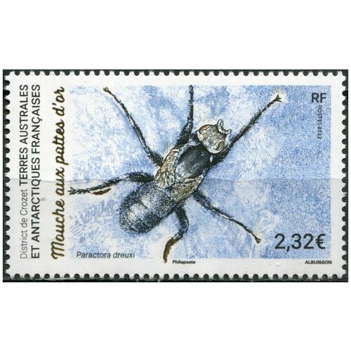 Французские Южные и Антарктические территории 2023. Златоногая муха (Paractora dreuxi) (MNH OG) Почтовая марка