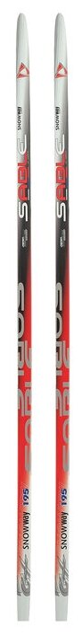Лыжи пластиковые бренд ЦСТ, 195 см, цвет микс
