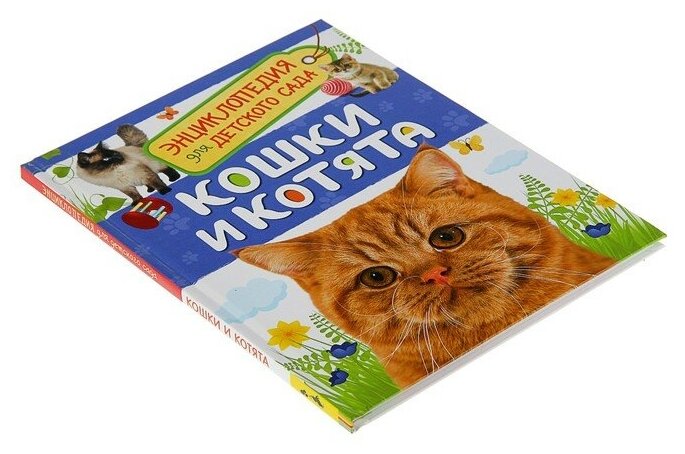 Росмэн Энциклопедия для детского сада «Кошки и котята» - фото №7