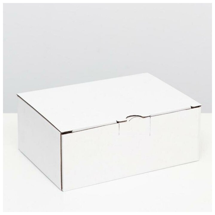 Коробка-пенал, белая, 26 х 19 х 10 см