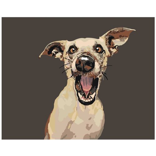 Картина по номерам, Живопись по номерам, 100 x 125, A160, животные, бродячий пёс, собака, лай, белый, удивлённый картина по номерам живопись по номерам 100 x 125 a152 собака животные морда нос