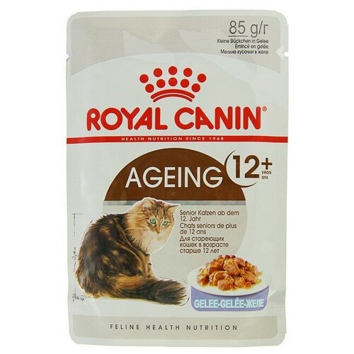 Влажный корм для пожилых кошек Royal Canin Ageing +12 85 г (кусочки в желе)