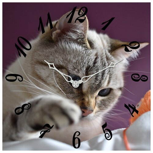 фото Svs настенные часы svs 3503197