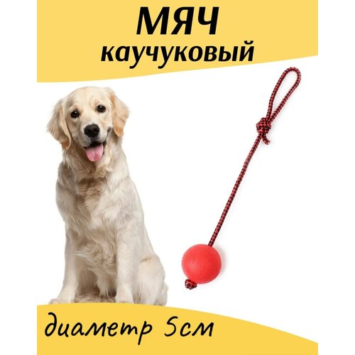 Мяч на веревке для собак. Игрушка мяч каучуковый 5 см