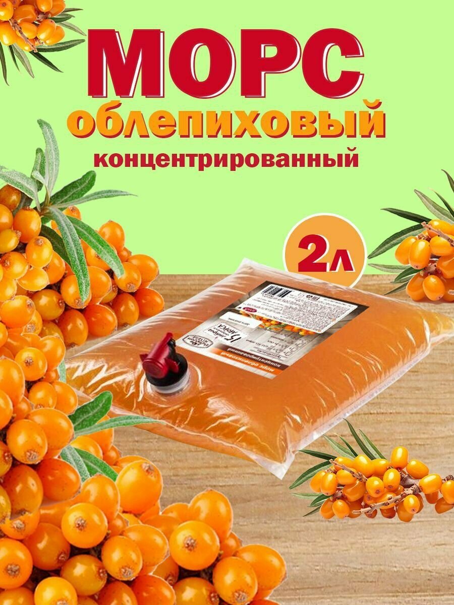 Морс облепиховый концентрированный