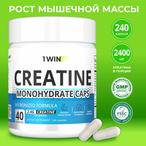 Креатин моногидрат 1WIN в капсулах Creatine Monohydrate, 240 капсул, спортивное питание для набора массы тела