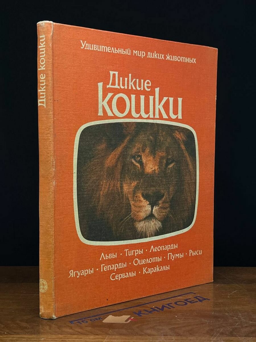 Дикие кошки 1981