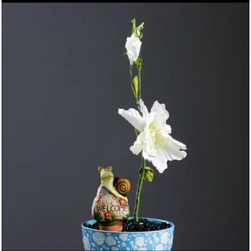 Набор из 12 оросителей для домашних растений 