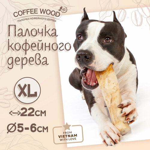 Игрушка для собак COFFEE WOOD "Палочка кофейного дерева", 22см, XL (Вьетнам)