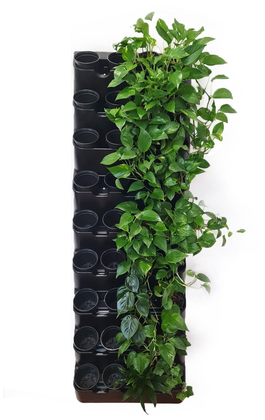 Фитомодуль "BOXSAND 36" (60х189 см) вместимость 36 растений цвет чёрный для вертикального озеленения