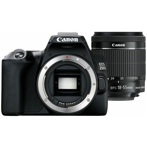 Фотоаппарат Canon 250D kit 18-55mm STM 5999900₽