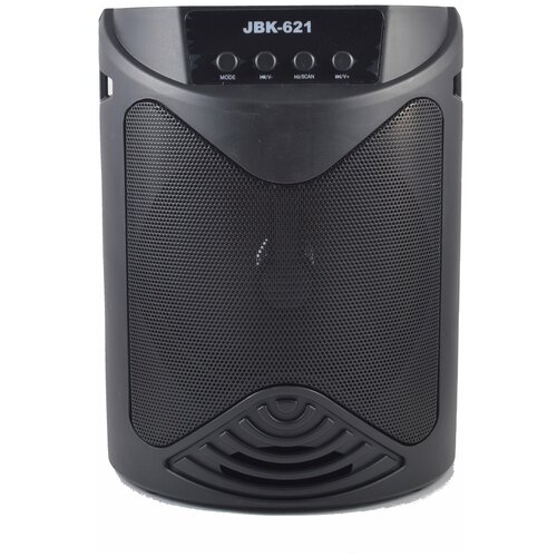 Беспроводная колонка JBK-621 черный 133500₽