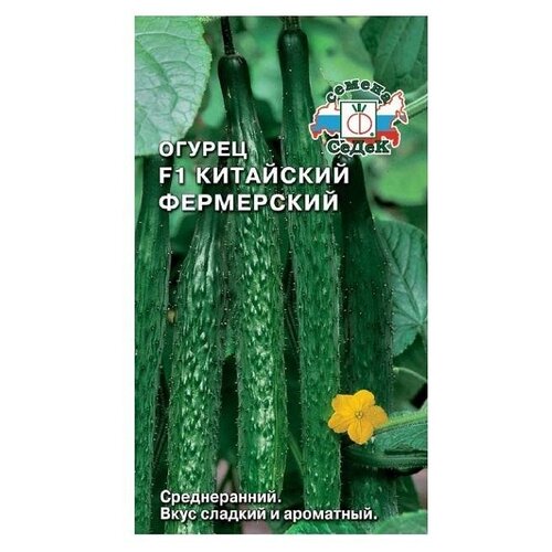 Огурец Китайский фермерский F1 Седек 212680, 12 шт.