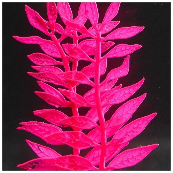 Растение силиконовое аквариумное, светящееся в темноте, 8 х 15 см, розовое 7108775 . - фотография № 4