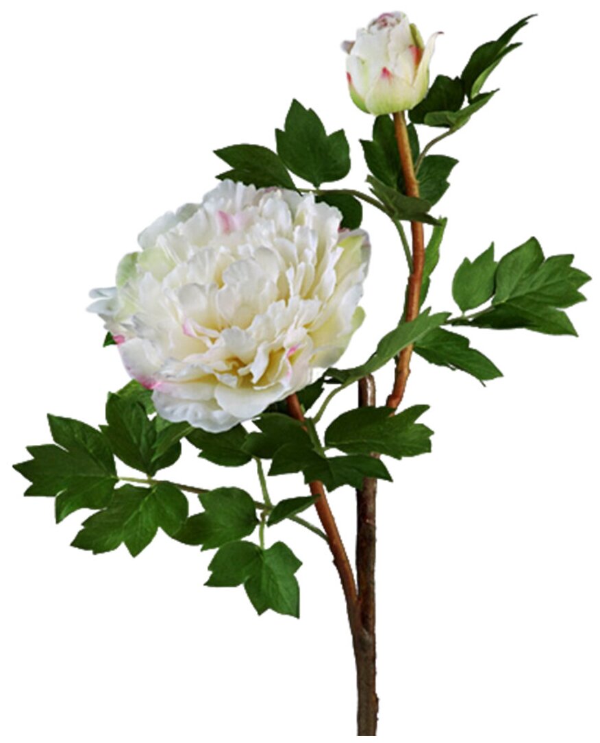 Искусственные растения / Декоративные композиции для интерьера / Искусственный цветок Пион белая ветвь малая