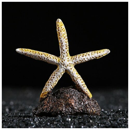 Пижон Аква Морская звезда на подставке, 7,5 х 3,5 х 8 см, желтая