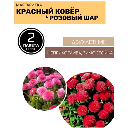 Цветы Маргаритка Красный ковер и Розовый шар 2 пакета по 0,05г семян цветок маргаритка розовый шар 0 1г agroni