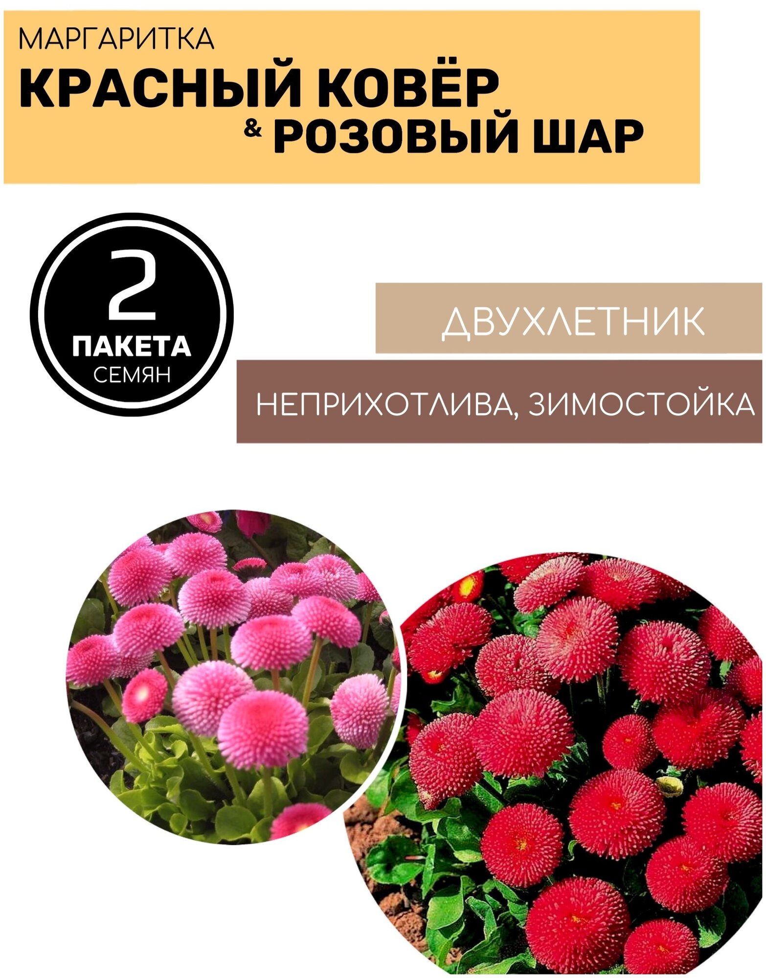 Цветы Маргаритка Красный ковер и Розовый шар 2 пакета по 005г семян