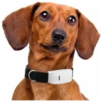 GPS трекер ошейник для домашних животных GiroOne TR 909 / ошейник для собак / найти собаку через ошейник