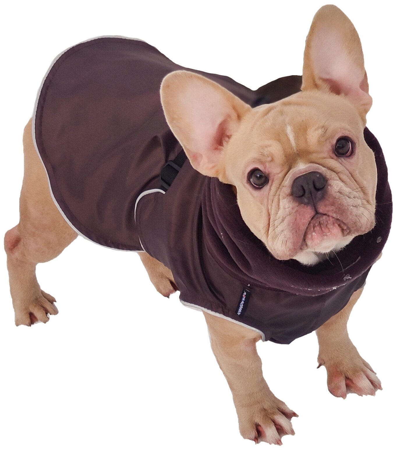 Попона для собак породы французcкий бульдог, коричневый, размер L - фотография № 3