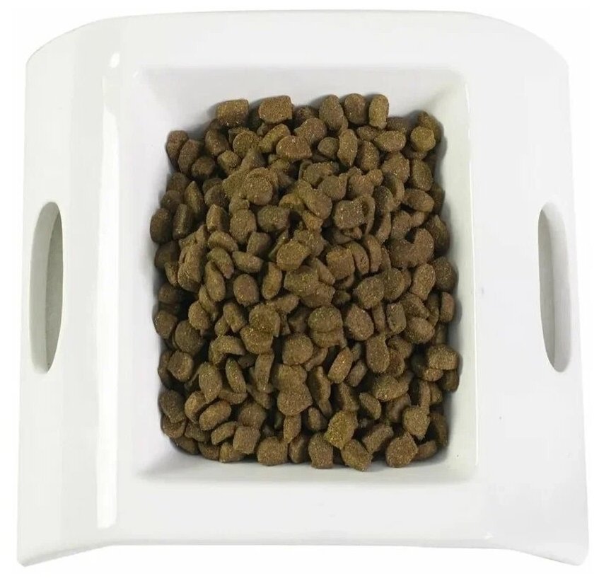 LiveRA Полнорационный низкозерновой сухой корм для взрослых кошек SENSITIVE, 0,35 кг - нежное мясо индейки для гурманов - фотография № 5