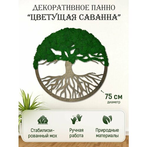 Панно на стену из мха 