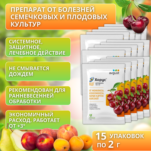 Хорус средство от болезней растений 15 упаковок по 2 г хорус от болезней растений 2 г 3 шт