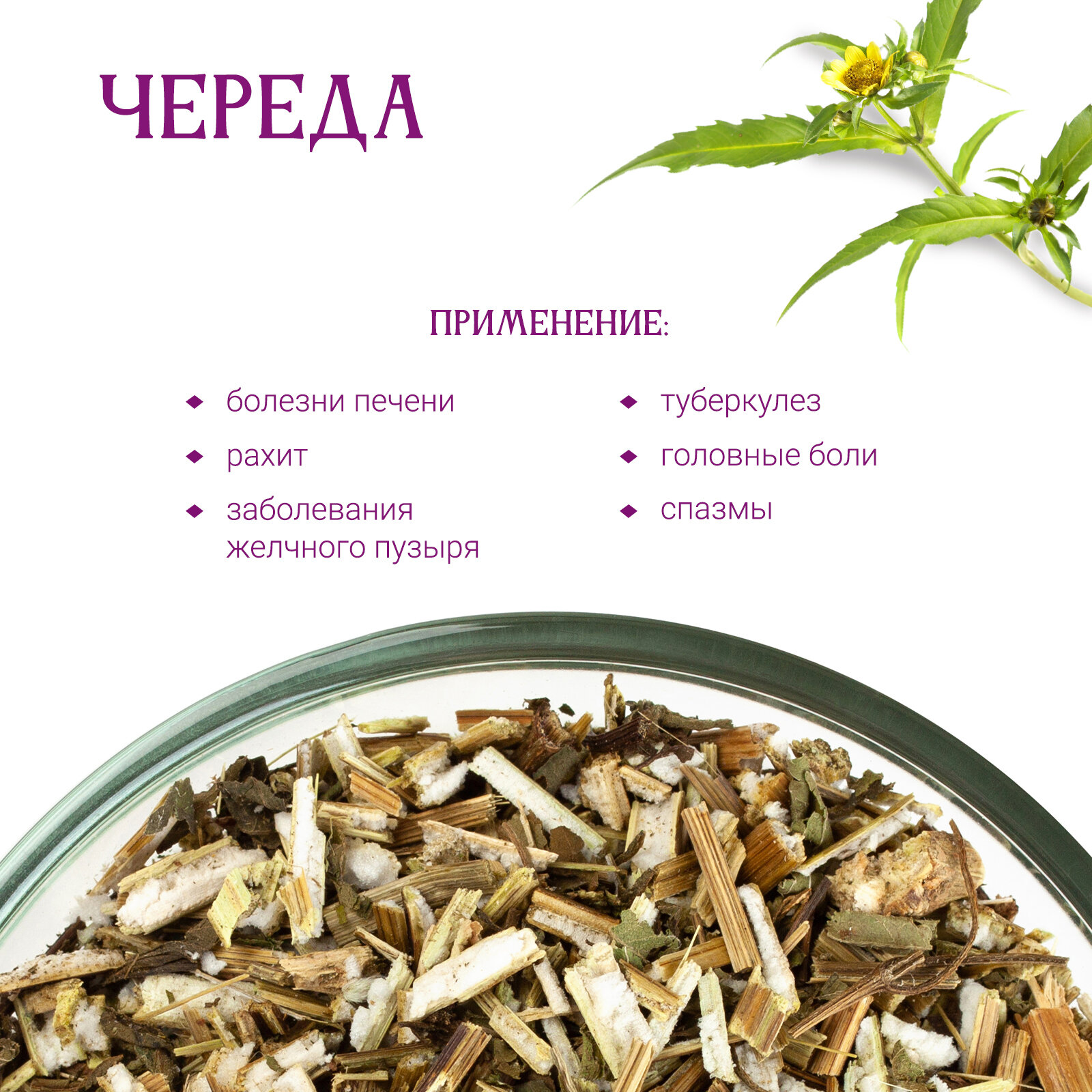 Череда трава сушеная, 90г — фото 1