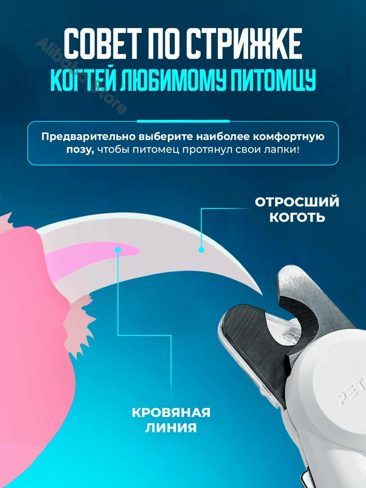 Картинки Когтерез