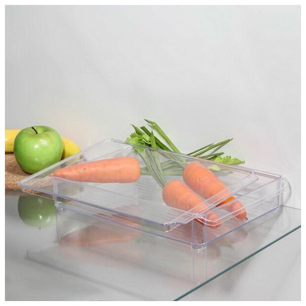 орйзер для холодильника 20х30х5см idea с крышкой м 1586 М-Пластика - фото №4