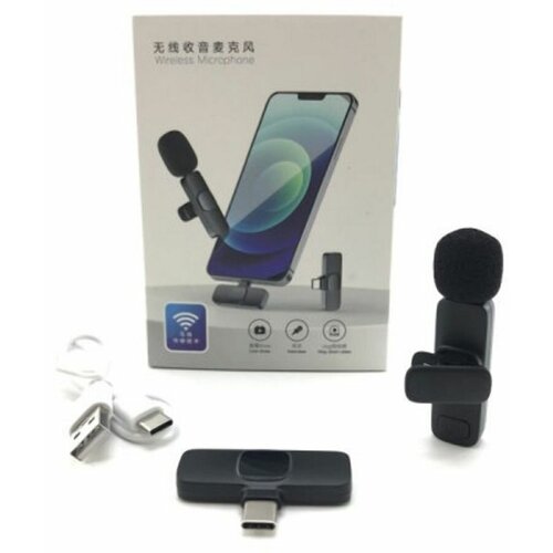 Микрофон беспроводной K1 175100₽