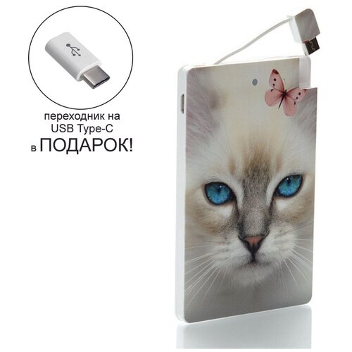 Внешний аккумулятор с изображением котенок 2500 mAh 102200₽