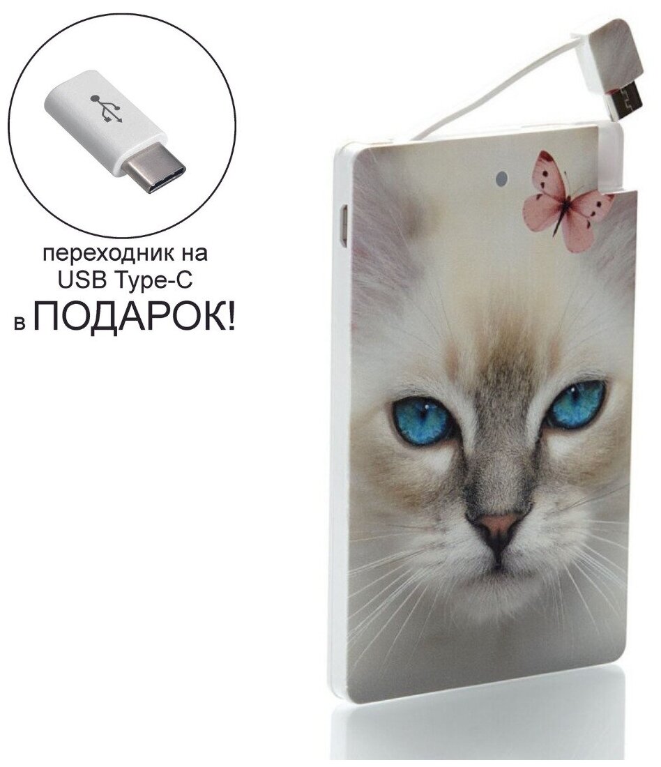 Внешний аккумулятор с изображением котенок, 2500 mAh + переходник USB Type-C