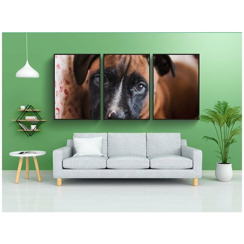 фото Набор модулных постеров для интерьера "собака, щенок, домашний питомец" 60x90 см. в тубусе, без рамки lotsprints